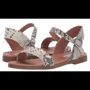 Steve Madden Sandals